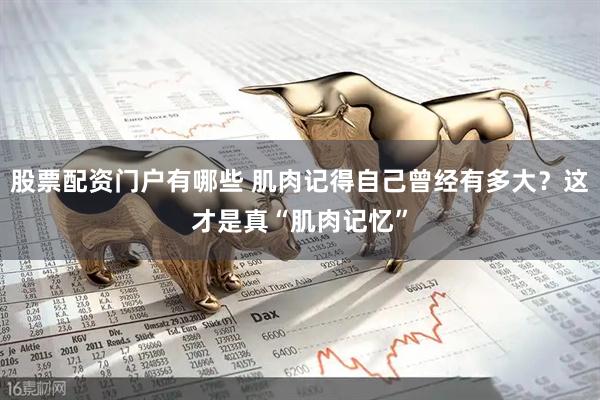 股票配资门户有哪些 肌肉记得自己曾经有多大？这才是真“肌肉记忆”